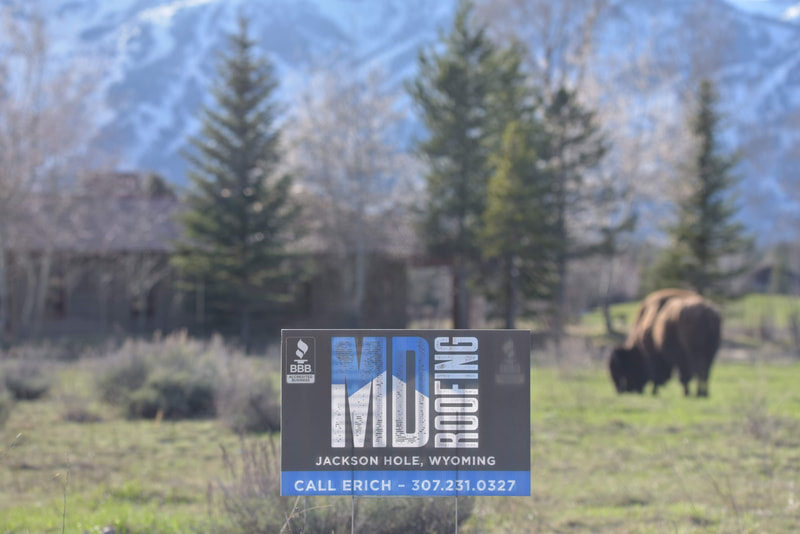 MD Roofing sign in front of home in Jackson, Wyoming with buffalo in background